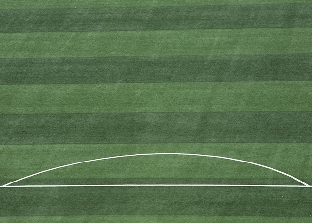 齐达内：里皮改变了我的思维方式；皮耶罗是尤文真正的英雄